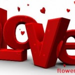 Love Flower Shop