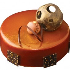 Belgian Chocolate Caramel Mousse Cake