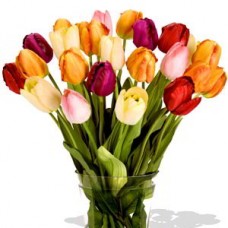 24 Mixed Tulips Bouquet